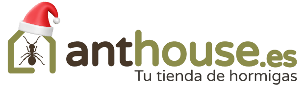 anthouse Anthouse